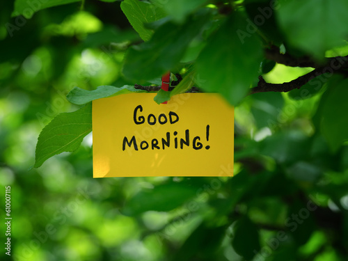 A yellow paper note with the phrase Good Morning! on it attached to a tree branch with a clothes pin © Stepan Popov