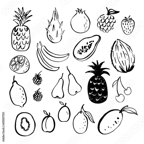 Fruit doodle  illustration hand drawn. Set with tropical fruits drawing of banana, coconut, mango, lychee, pear, lemon, cherry, strawberry, papaya, dragon fruit, kiwi, guava, passion fruit. 