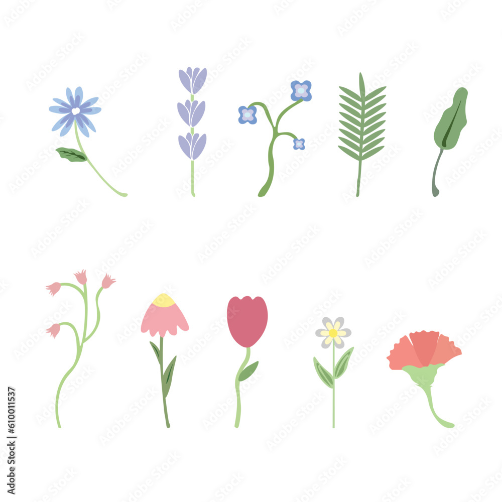 Set of floral elements. Romantic flower collection with flowers, twigs, leaves, herbs and berries. Vector design isolated on white background.