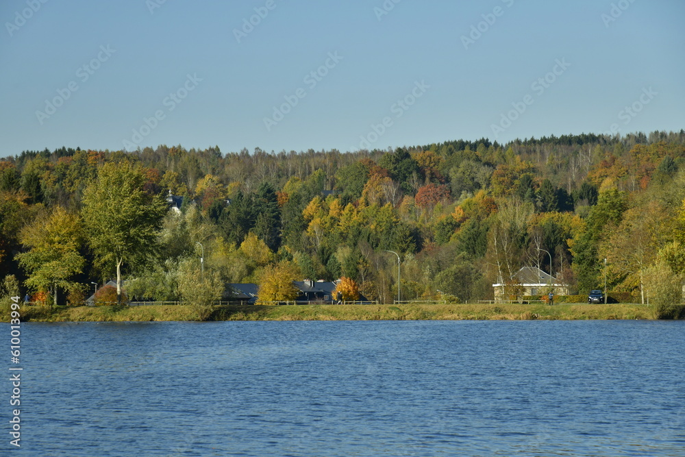 La forêt en automne à proximité du lac des Doyards à Vielsalm