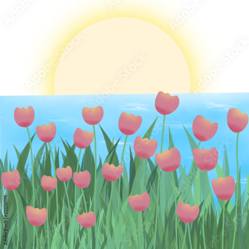 spring background with tulip flowers