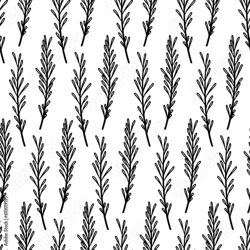 Fototapeta Naklejka Na Ścianę i Meble -  Rosemary branches seamless pattern. Abstract rosemary twigs with leaves, herb and spice doodle print. Vector illustration isolated on white background