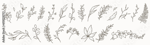 Stampa su tela Hand drawn floral minimal elements in line art style