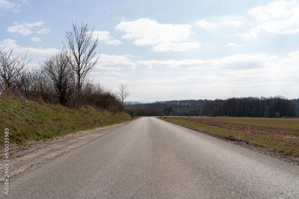 Asphalt road in the landscape with leafless trees and a bright sky on a sunny day in spring