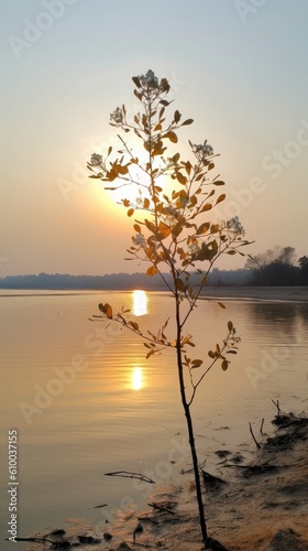 the sun setting over a river in morning Generative Ai