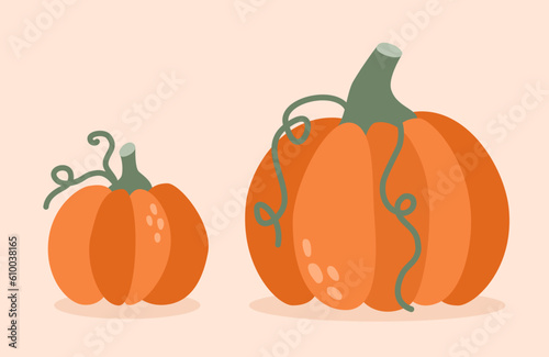 Design element set cute pumpkins in flat style. Vector illustration