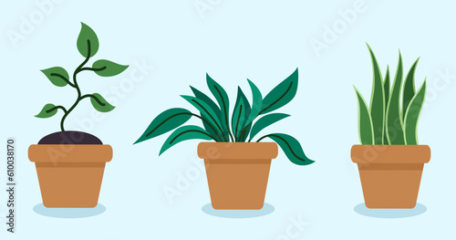 Plants in pots flat style. Set of design elements. Vector illustration