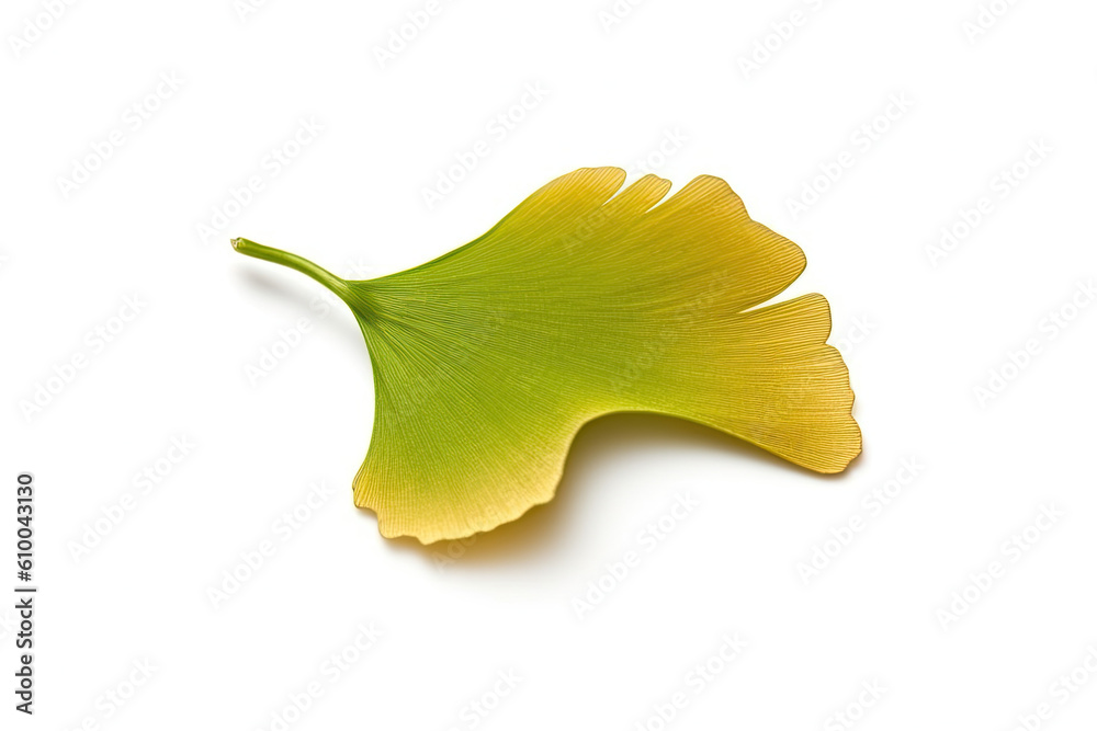 Naklejka premium Ginkgo leaf isolated created with Generative AI technology
