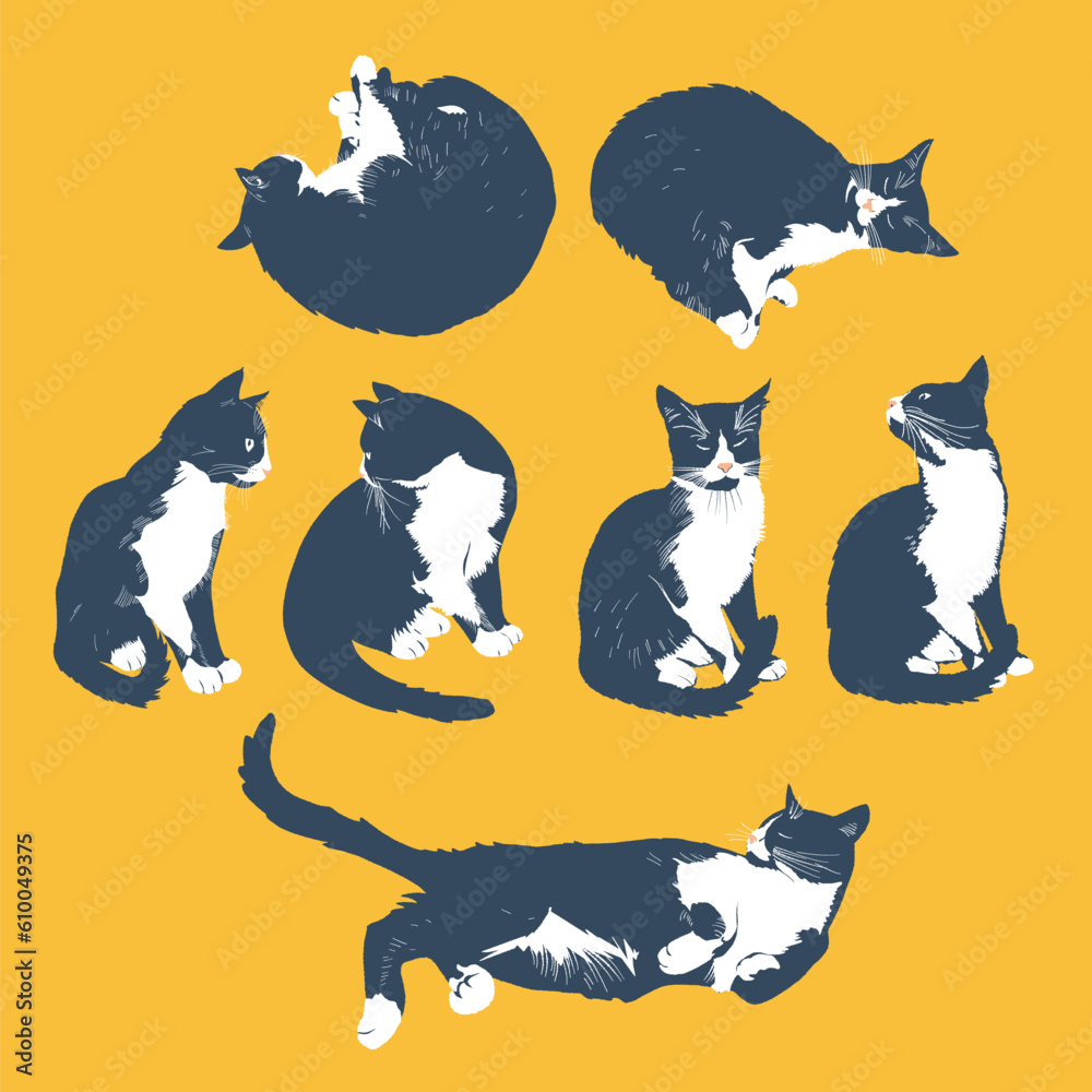 A set of black cats isolated on the background. A set of black cats isolated on the background.