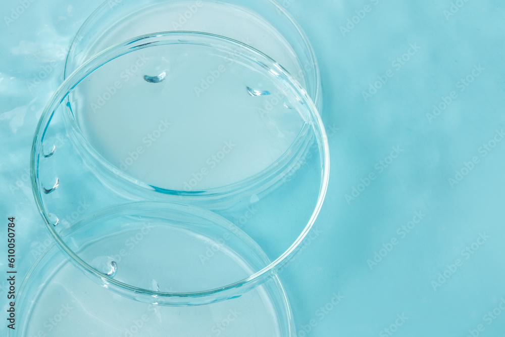Set of laboratory utensils empty Petri dish, flasks, jars on the background of blue water Set of laboratory utensils empty Petri dish, flasks, jars on the background of blue water