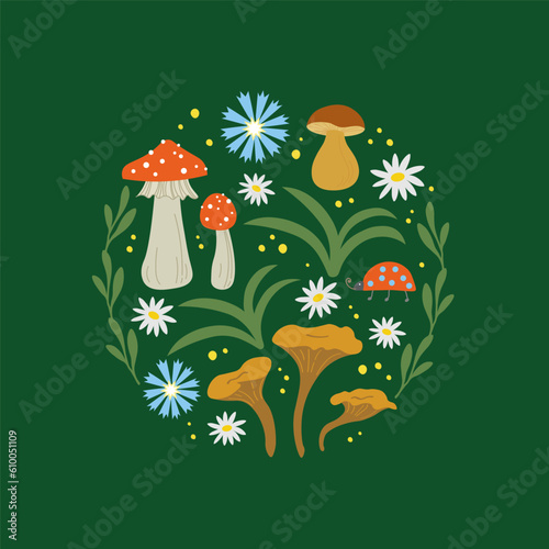 Mushrooms and forest flowers. Set with ladybug, agaric, chanterelles, porcini mushroom, chamomile and cornflower, forest motif. Ornamental plant composition is drawn by hand. flat illustration