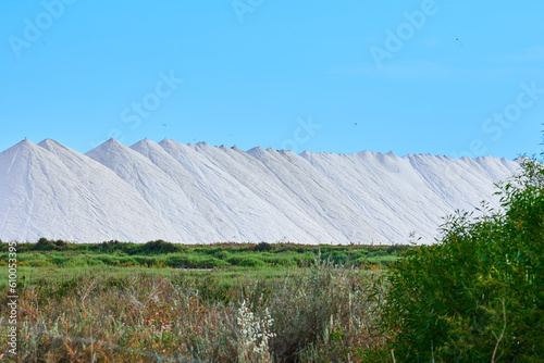 Salt industry. Salt for food and treatment is extracted from the Pink Lake of Torrevieja.