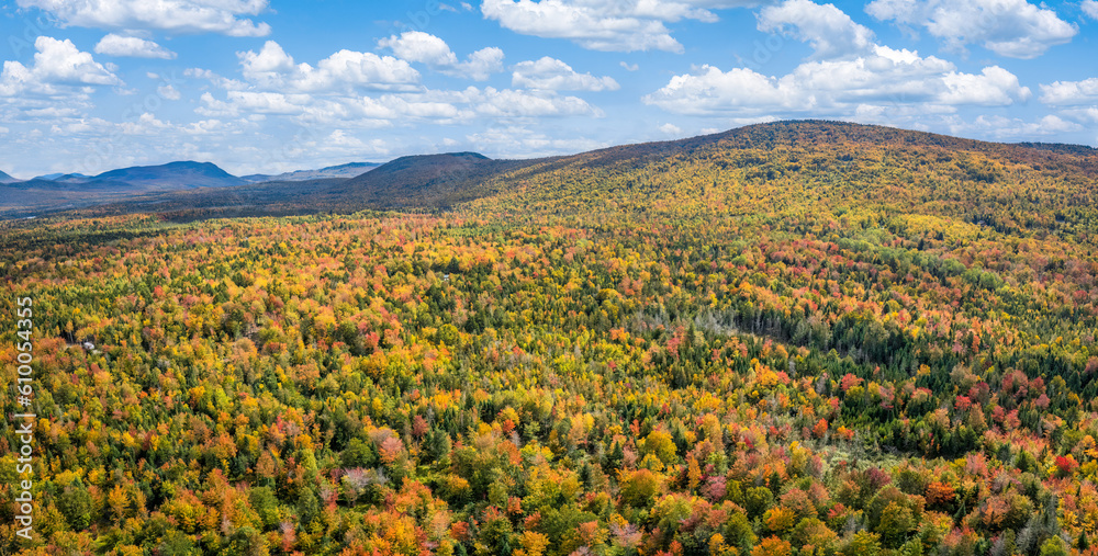 Fall foliage in Maine - near Moosehead Lake - Autumn