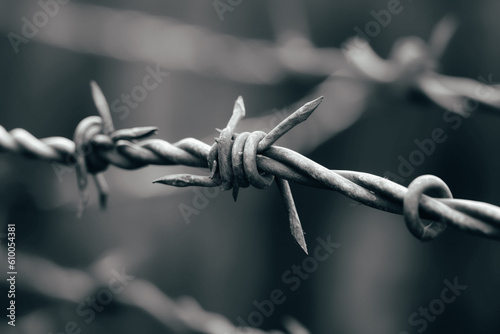 Close-up shot of barbed wire in shades of gray
