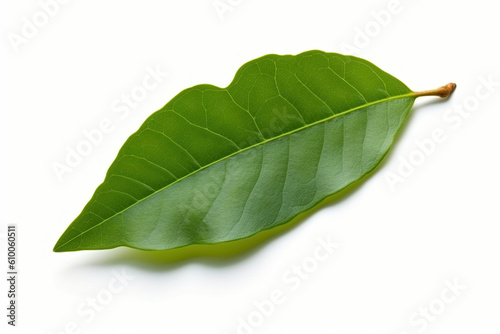 Sassafras leaf isolated created with Generative AI technology