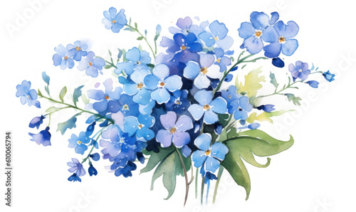 Watercolor painting of Forget-me-not on white paper Floral illustration Bouquet photo