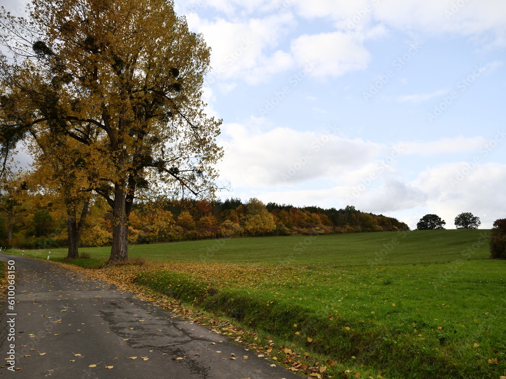 Straße am Feld Straße am Feld