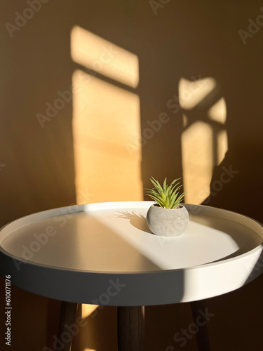 Minimal cozy counter design mockup for product presentation background for branding in Japanese style with white podium including vase plant.White table on a beige background.
