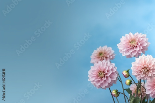 A bunch of pink dahlia flowers sitting on top of a table. Generative AI. Copy space, place for text, copyspace.
