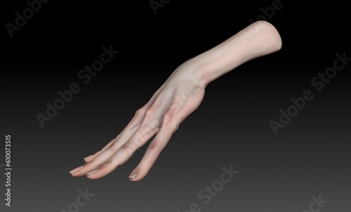 Female Arm and Hand Sculpt pose render of background. 3d rendering