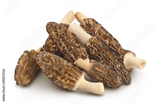 raw morel mushroom isolated on white background with full depth of field photo