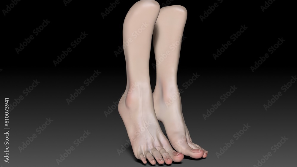Female Foot Sculpt 3d render of background. 3d rendering Female Foot Sculpt 3d render of background. 3d rendering