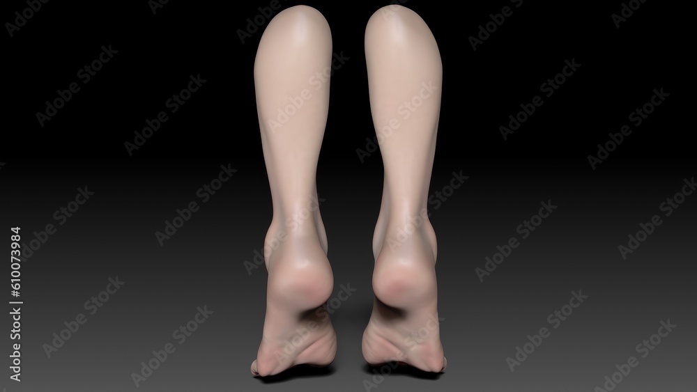 Female Foot Sculpt 3d render of background. 3d rendering Female Foot Sculpt 3d render of background. 3d rendering