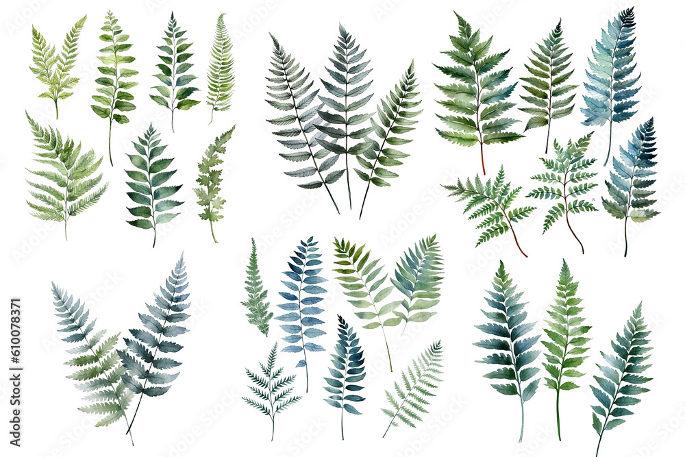 Watercolour Fern Ferns Green Leaves on clear isolated background, Clip art, Wedding invitation, Greeting Card, Seasonal, Beautiful Pattern