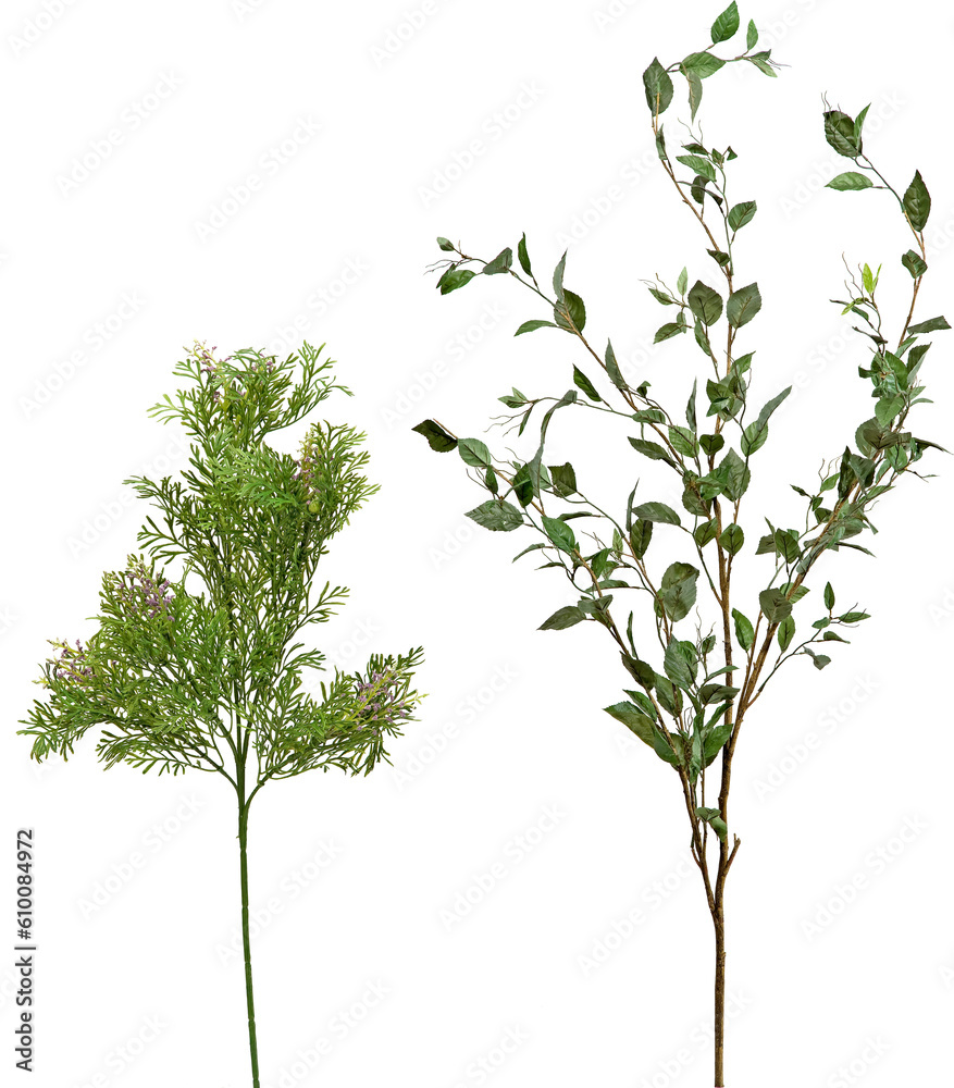 Obraz premium set of plants on transparent background