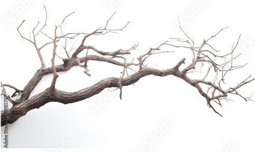  a bare tree branch with no leaves on a white sky background with copy - up text in the middle of the image and a black and white background. generative ai