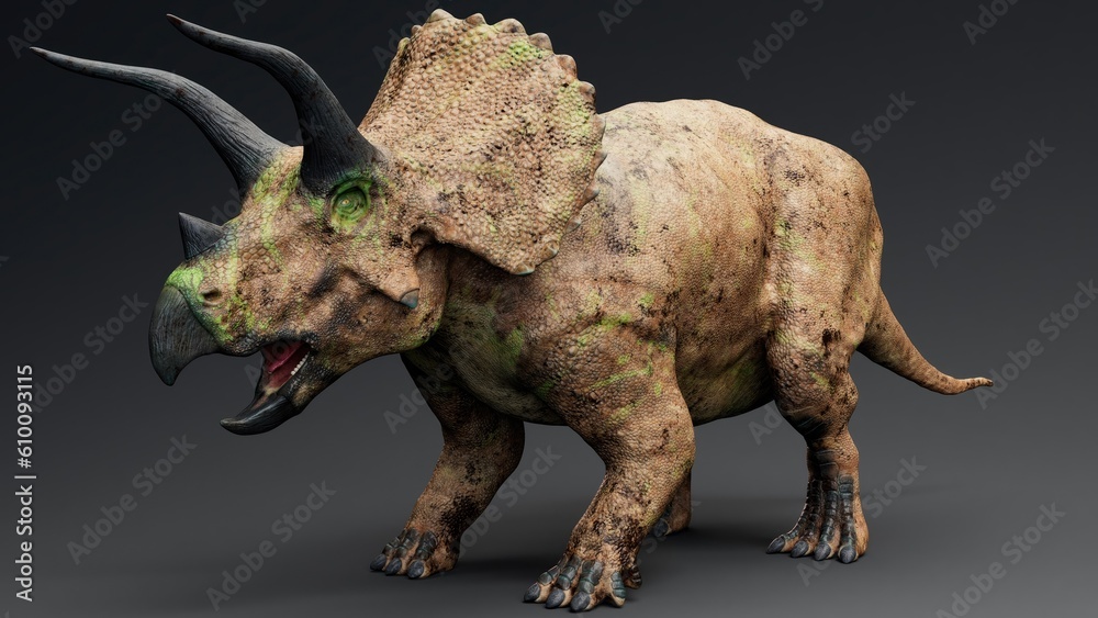 Obraz premium Triceratops pose render of background. 3d rendering