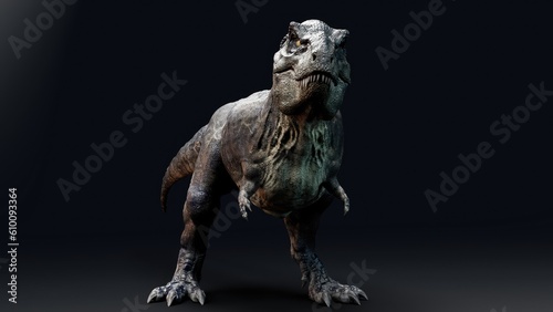 Trannosaurus Rex Sue pose render of background. 3d rendering © racksuz
