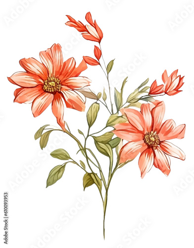Wild Flower