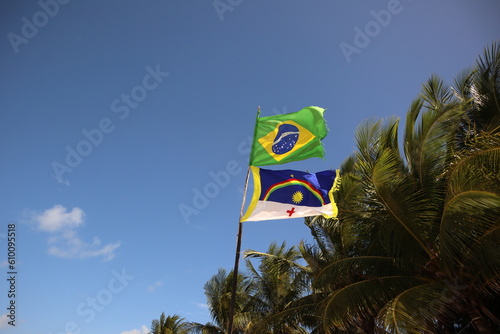 Banderas de Brasil e Pernambuco, Nordeste de Brasil na praia com céu azul e coqueiros photo