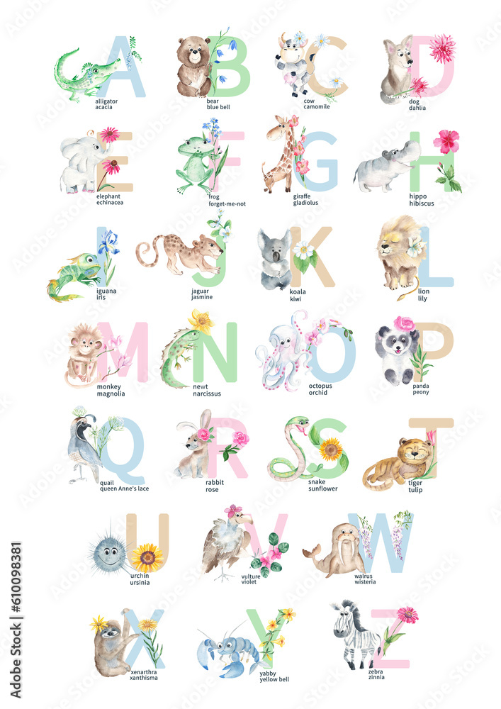 Watercolor hand drawn cute latin animal and floral alphabet. Baby animals with flowers and ABC symbols isolated on white background. Can be used as print poster, baby wallart, for baby shower, kids
