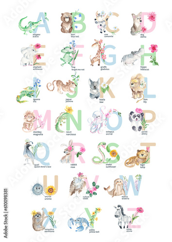 Watercolor hand drawn cute latin animal and floral alphabet. Baby animals with flowers and ABC symbols isolated on white background. Can be used as print poster, baby wallart, for baby shower, kids