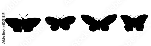 Set of silhouettes of winged insects of the night moth.Vector graphics.