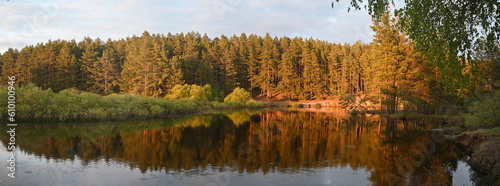 Panorama of the spring river in the woods.