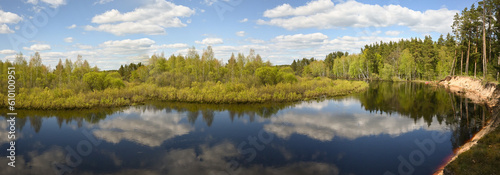 Panorama of the spring river in the woods.