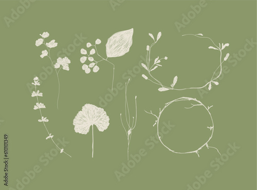 Leaves and branches silhouettes set drawing on green background