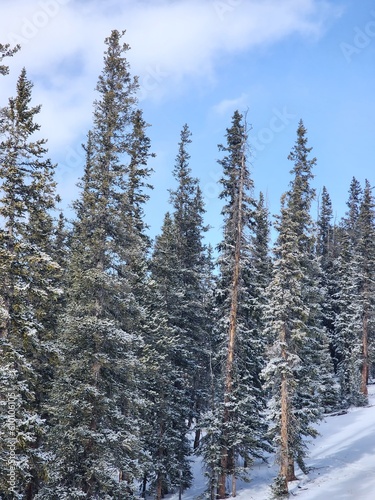 Scenic Winter Views
