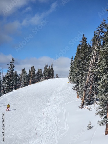 Scenic Winter Views