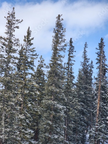 Scenic Winter Views