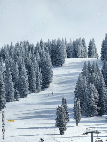 Scenic Winter Views
