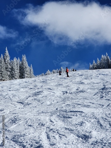 Scenic Winter Views