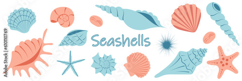 Collection of sea shells. Blue and pink cartoon shell. Summer set of underwater elements. Marine background