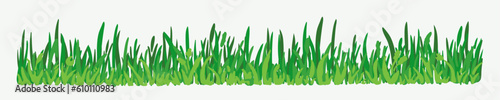 Green vector grass, horizontal border. A set of elements for design, green meadow, spring greenery, plants for a summer meadow. Illustration isolated on white background