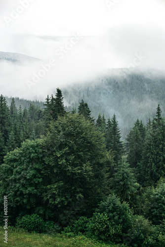 Mountain landscape with clouds.  Ukrainian Carpathians mountains
