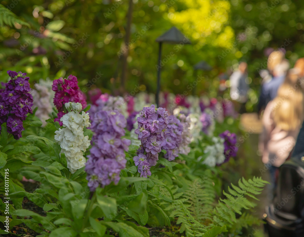 Obraz premium Scenic Butchart Gardens - Brentwood Bay - British Columbia