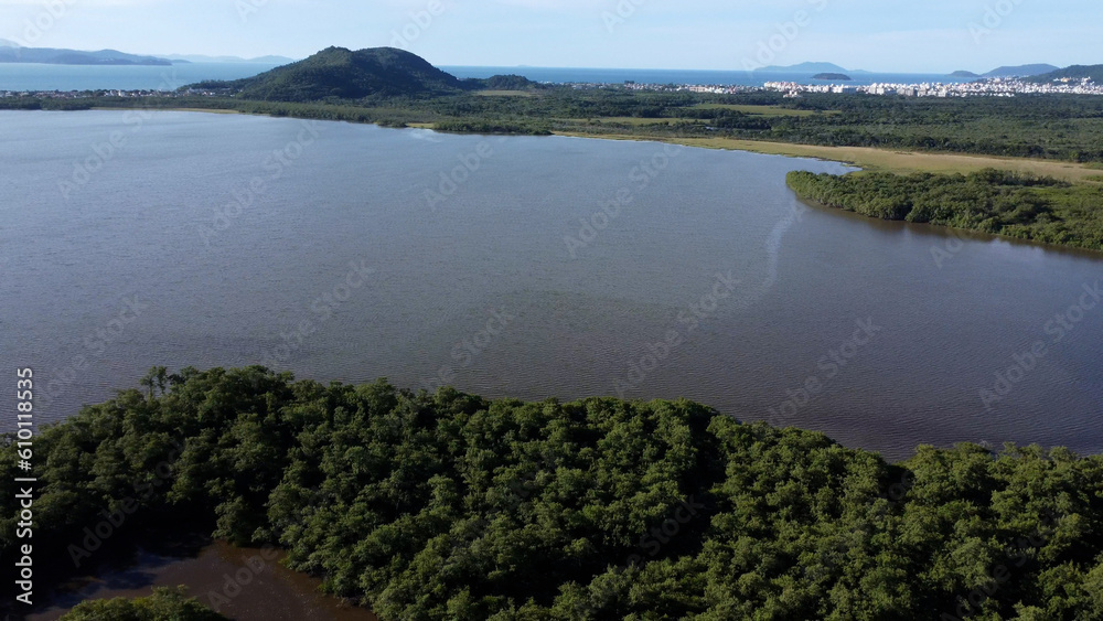 Rio na mata atlântica